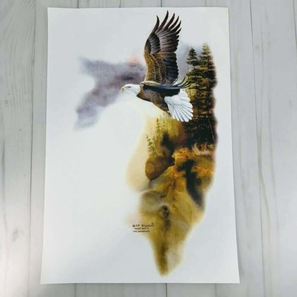 Vintage Iron On Transfer 8"x14" Flying Eagle Whispering Wings Impulse Wear